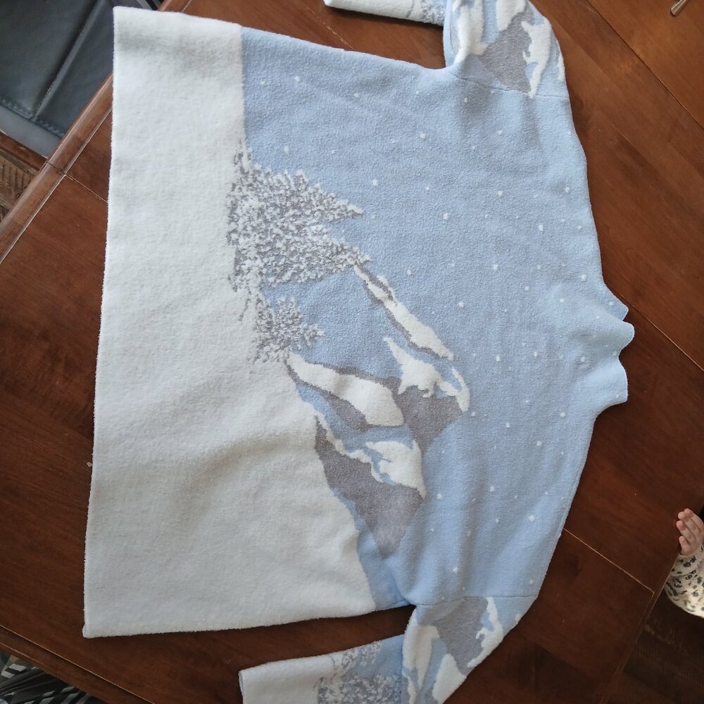 Rachel Zoe Pullover Sweater Mountain Range Landscape View 4
